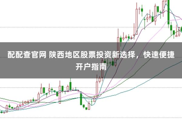 配配查官网 陕西地区股票投资新选择，快速便捷开户指南