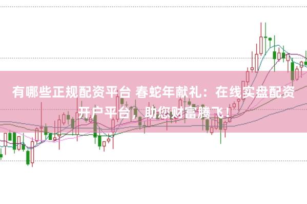 有哪些正规配资平台 春蛇年献礼：在线实盘配资开户平台，助您财富腾飞！