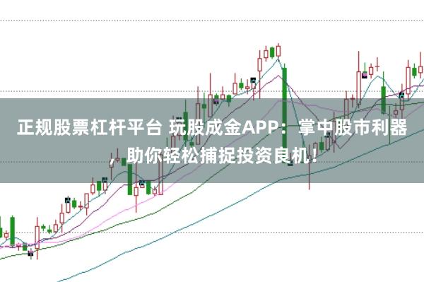 正规股票杠杆平台 玩股成金APP：掌中股市利器，助你轻松捕捉投资良机！