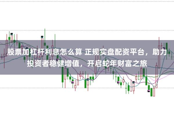 股票加杠杆利息怎么算 正规实盘配资平台，助力投资者稳健增值，开启蛇年财富之旅