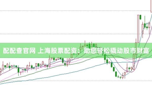 配配查官网 上海股票配资：助您轻松撬动股市财富