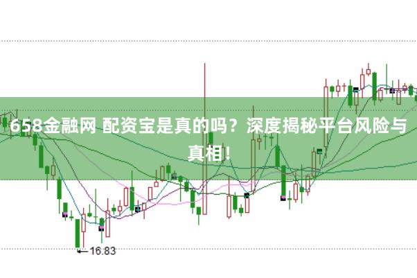 658金融网 配资宝是真的吗？深度揭秘平台风险与真相！
