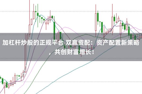 加杠杆炒股的正规平台 双赢资配：资产配置新策略，共创财富增长！