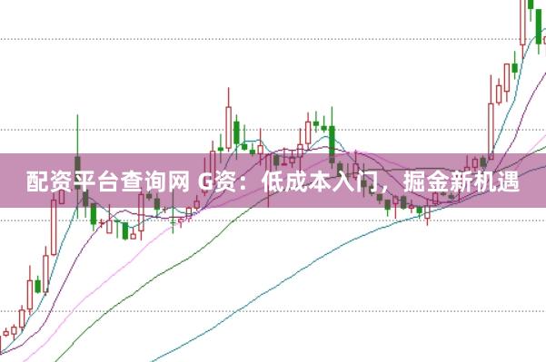 配资平台查询网 G资：低成本入门，掘金新机遇