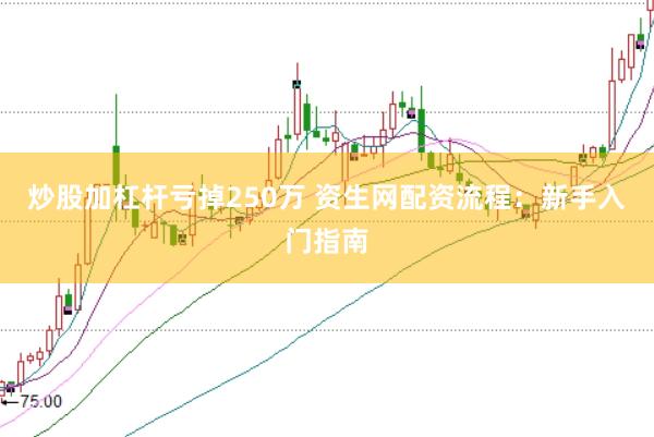炒股加杠杆亏掉250万 资生网配资流程：新手入门指南