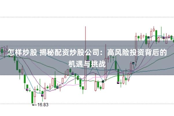 怎样炒股 揭秘配资炒股公司：高风险投资背后的机遇与挑战