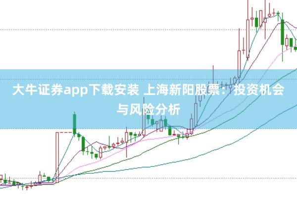 大牛证券app下载安装 上海新阳股票：投资机会与风险分析