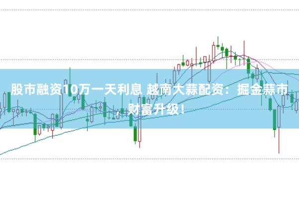 股市融资10万一天利息 越南大蒜配资：掘金蒜市，财富升级！