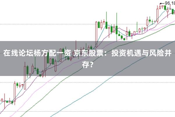 在线论坛杨方配一资 京东股票：投资机遇与风险并存？