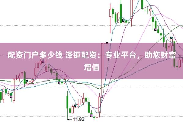 配资门户多少钱 泽钜配资：专业平台，助您财富增值