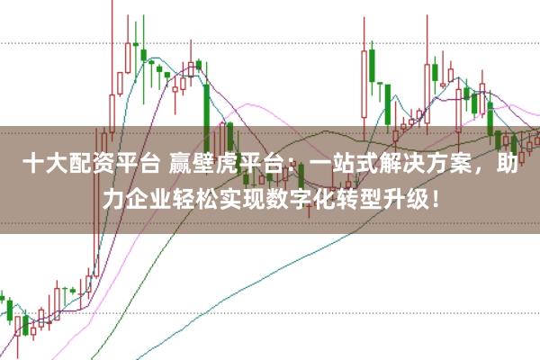 十大配资平台 赢壁虎平台：一站式解决方案，助力企业轻松实现数字化转型升级！