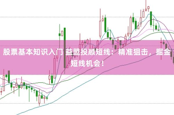 股票基本知识入门 益盟投顾短线：精准狙击，掘金短线机会！