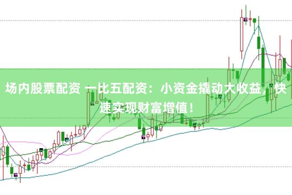 场内股票配资 一比五配资：小资金撬动大收益，快速实现财富增值！