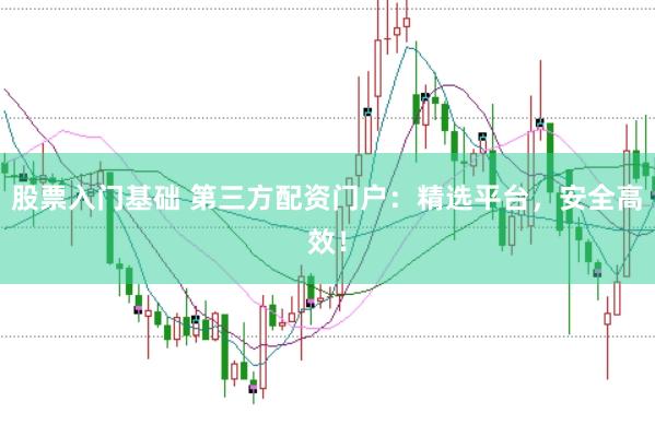 股票入门基础 第三方配资门户：精选平台，安全高效！