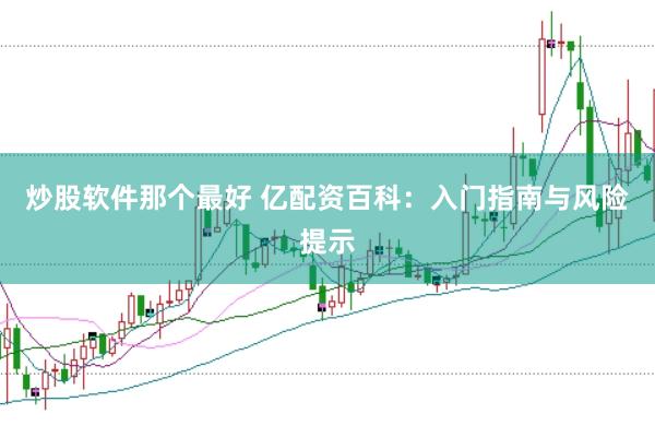 炒股软件那个最好 亿配资百科：入门指南与风险提示
