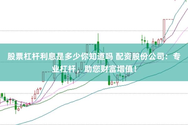 股票杠杆利息是多少你知道吗 配资股份公司：专业杠杆，助您财富增值！