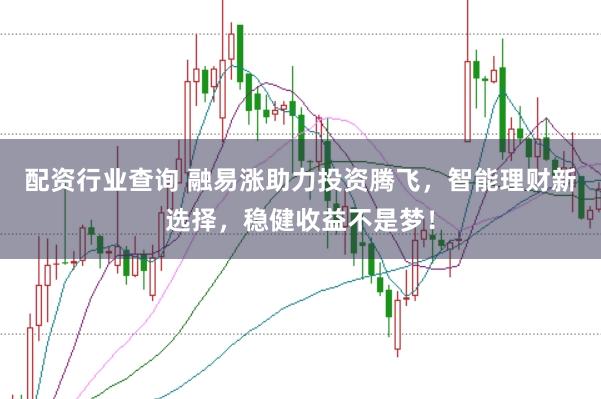 配资行业查询 融易涨助力投资腾飞，智能理财新选择，稳健收益不是梦！